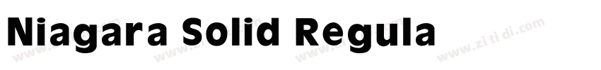 Niagara Solid Regula字体转换